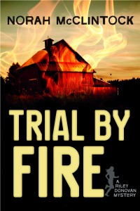 Trial By Fire by Norah McClintock