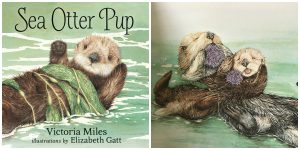 Sea Otter Pup Mother's Day Collage