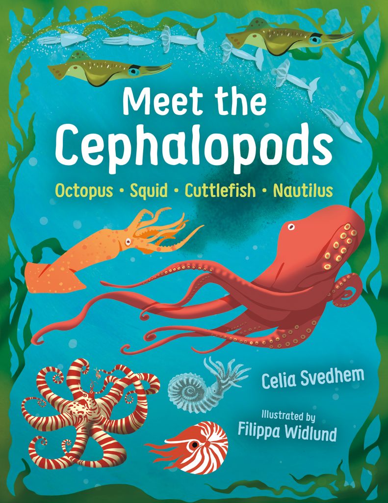 Meet the Cephalopods: Octopus, Squid, Cuttlefish, Nautilus by Celia Svedhem. Illustrated by Filippa Widlund. Translated by B.J. Woodstein. A colorful illustration featuring swimming cephalopods including a giant squid, octopus, cuttlefish and more.
